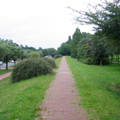 Zu ertüchtigender Deich mit Parkweg auf der Deichkrone